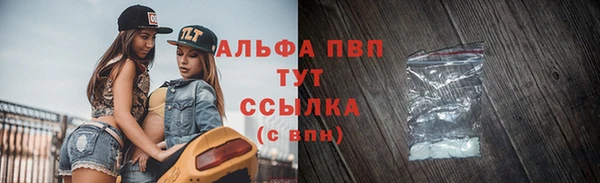 apvp Алзамай