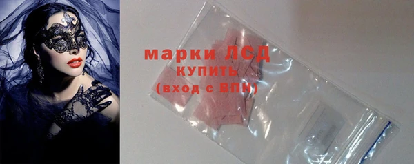 apvp Алзамай