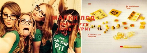 ПСИЛОЦИБИНОВЫЕ ГРИБЫ Алексин