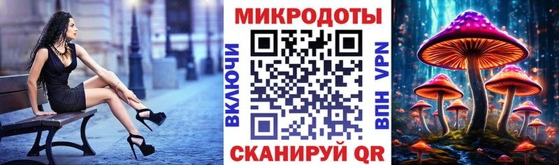 купить  цена  Балтийск  Галлюциногенные грибы Psilocybine cubensis 